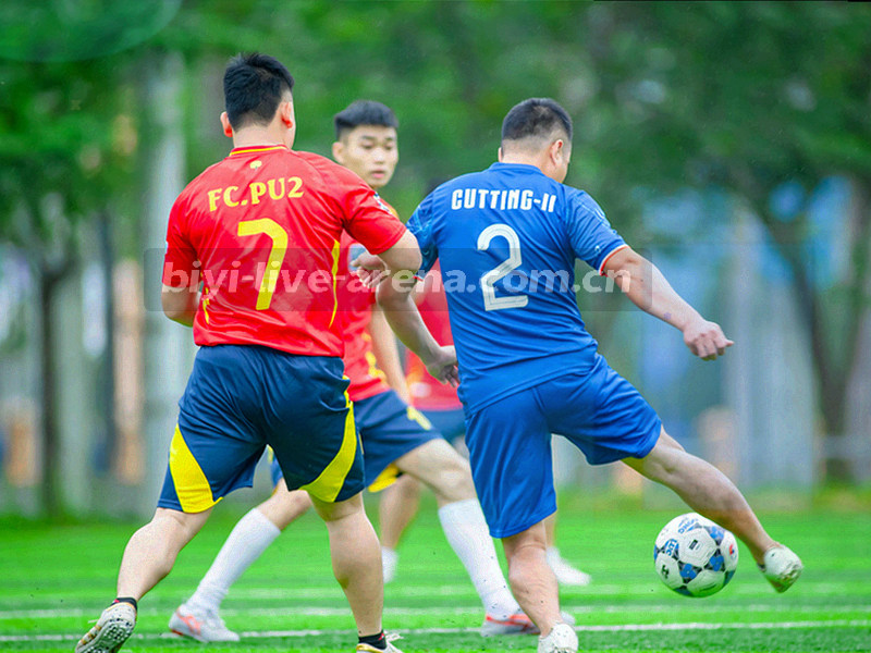 翻开式双栏词典版式的抽象图形，青绿色高光标注条目